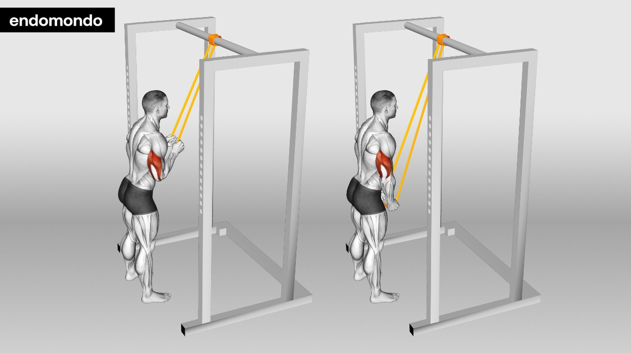 Tricep Pushdowns