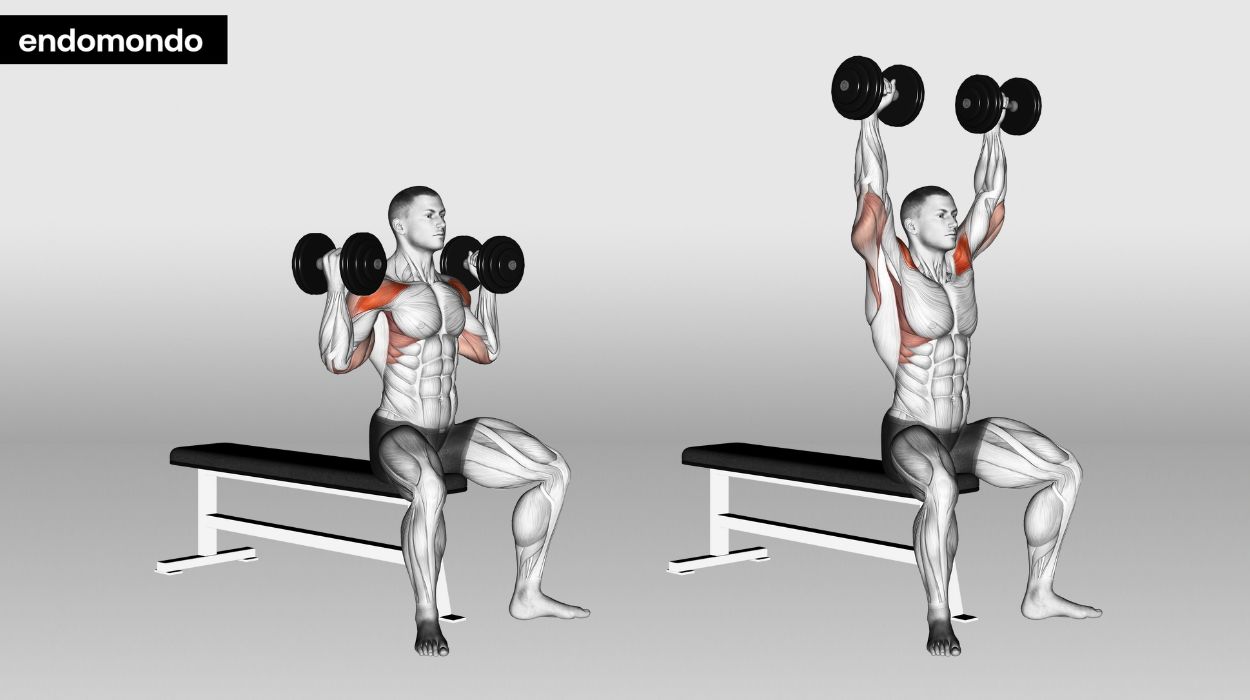 shoulders and traps workout