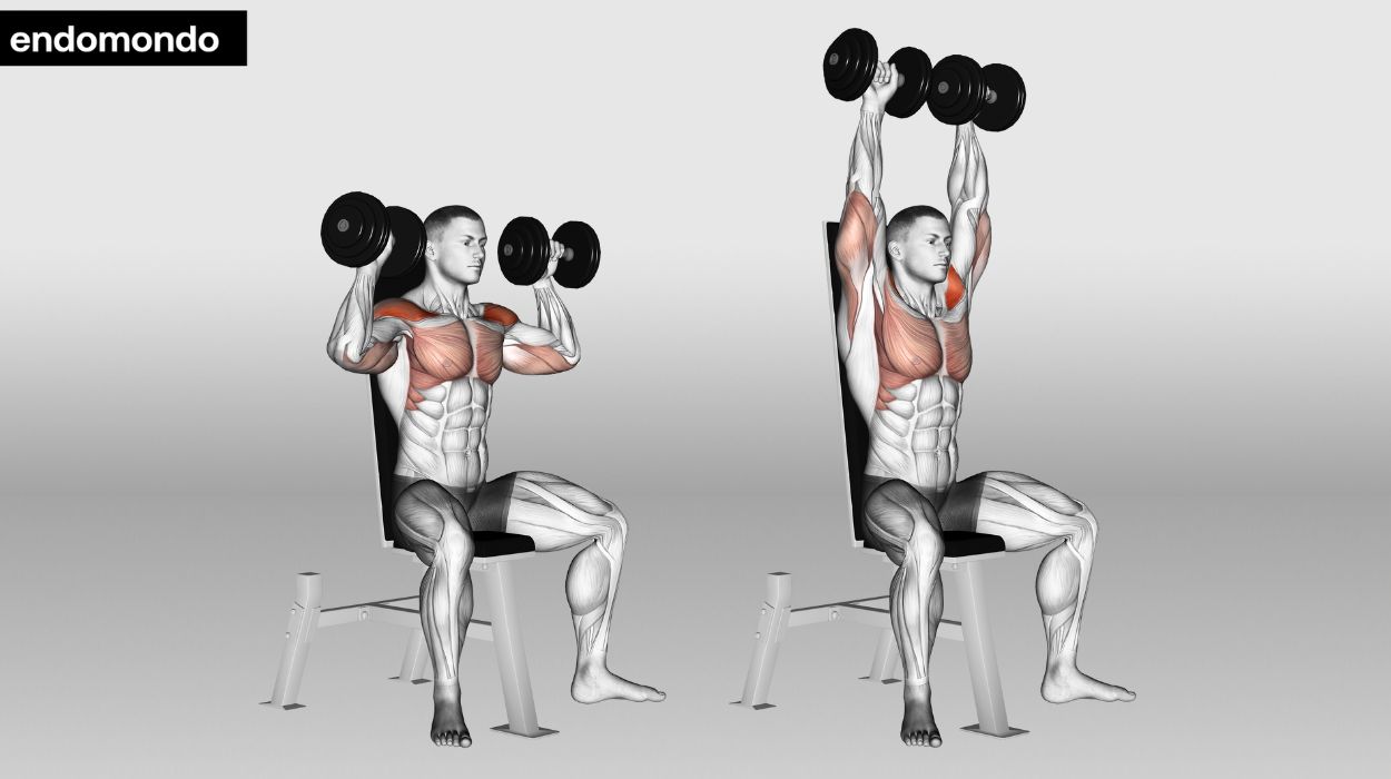 Seated Dumbbell Shoulder Press