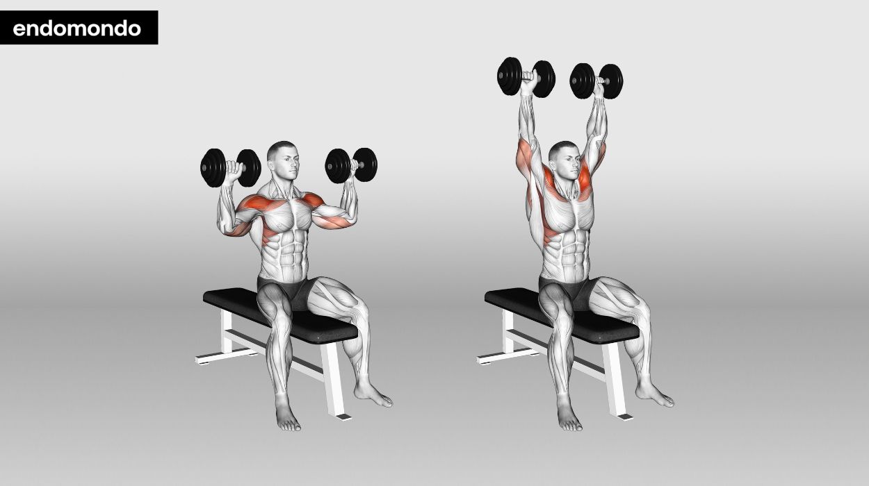 seated overhead dumbbell press