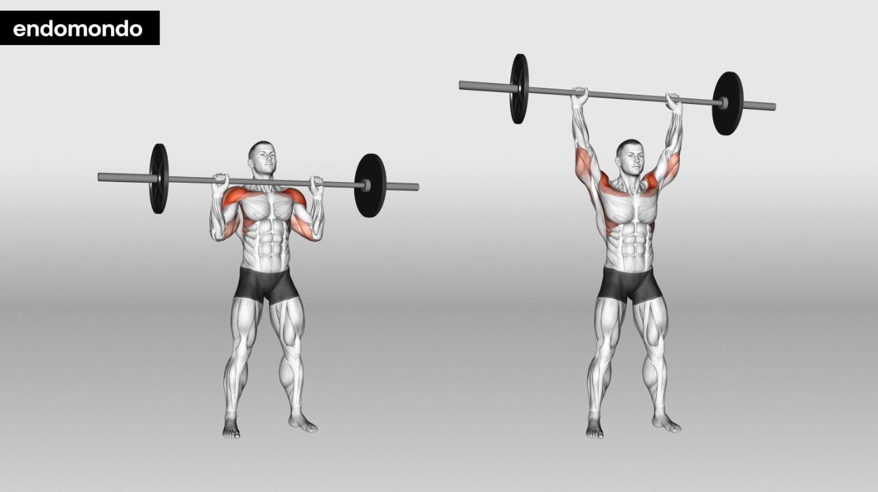 Standing Barbell Overhead Press Guide.