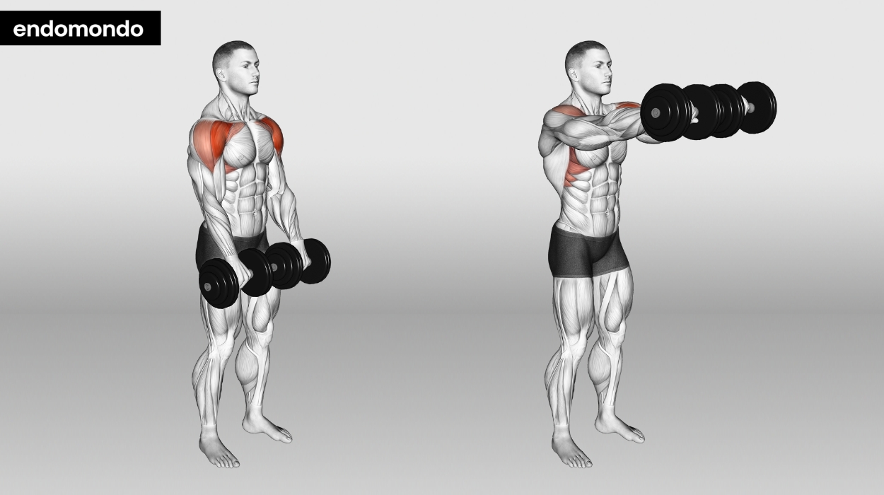 Standing Dumbbell Front Shoulder Raises