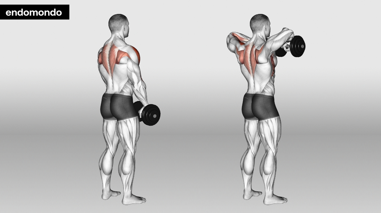 Standing Dumbbell Upright Row