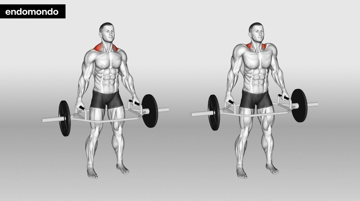 shoulders and traps workout