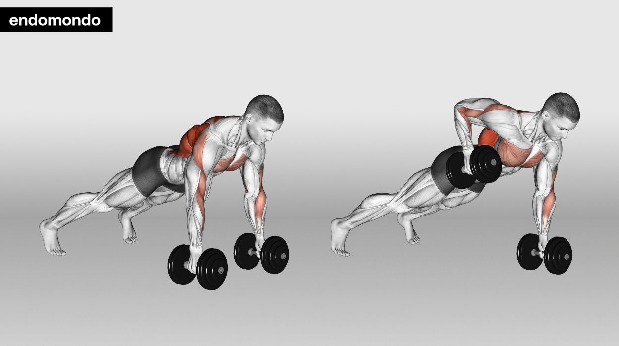 Weighted Renegade Rows - weighted ab workouts
