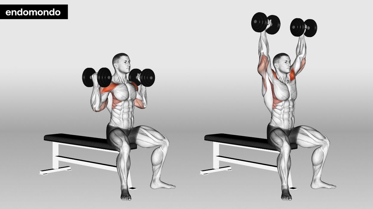 overhead press variations