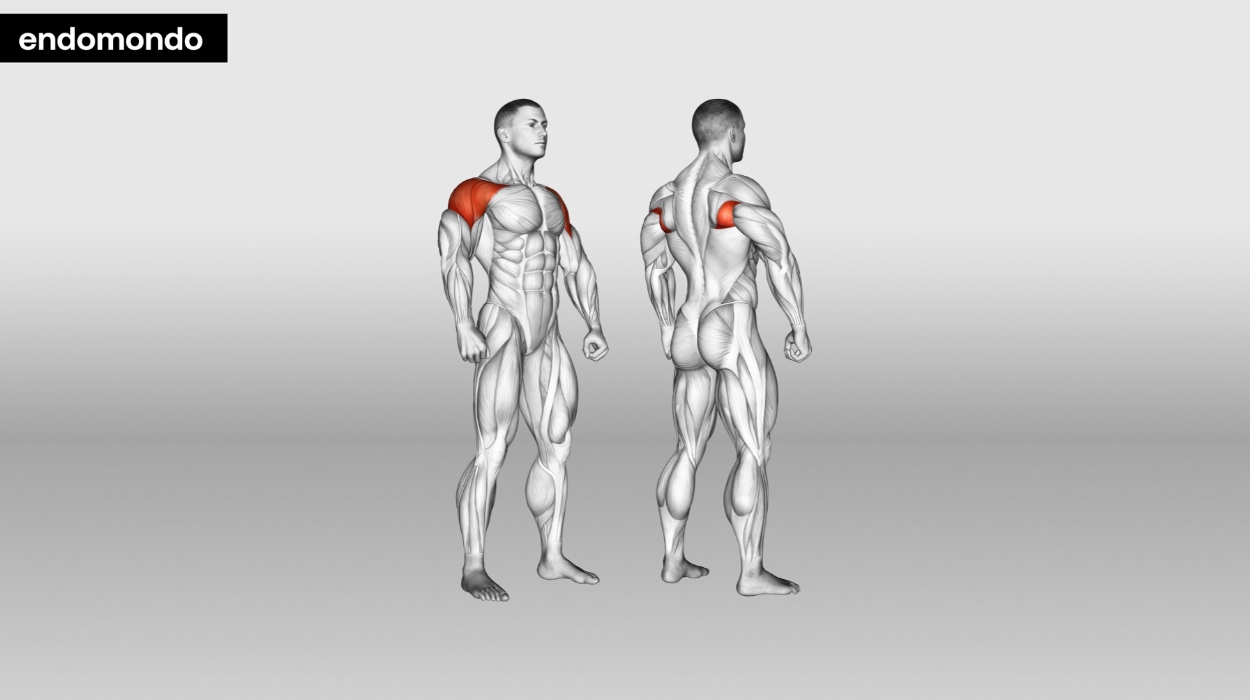 shoulder workouts for men