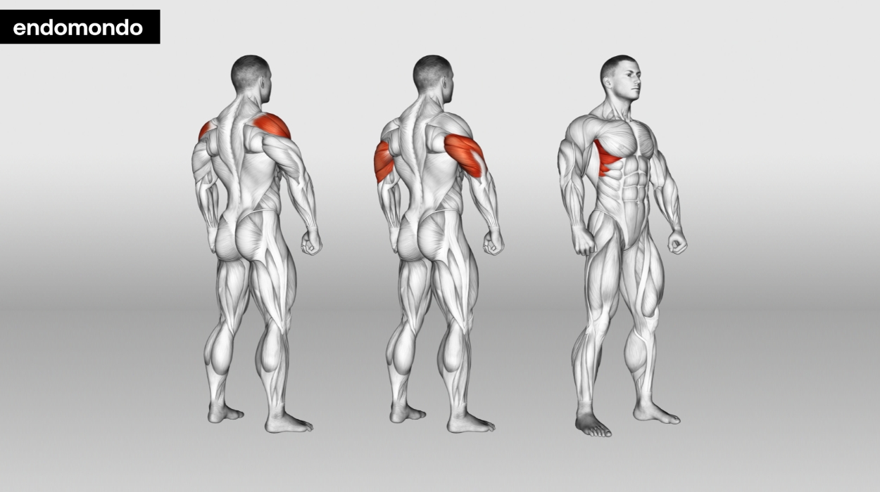 Overhead Press Variations