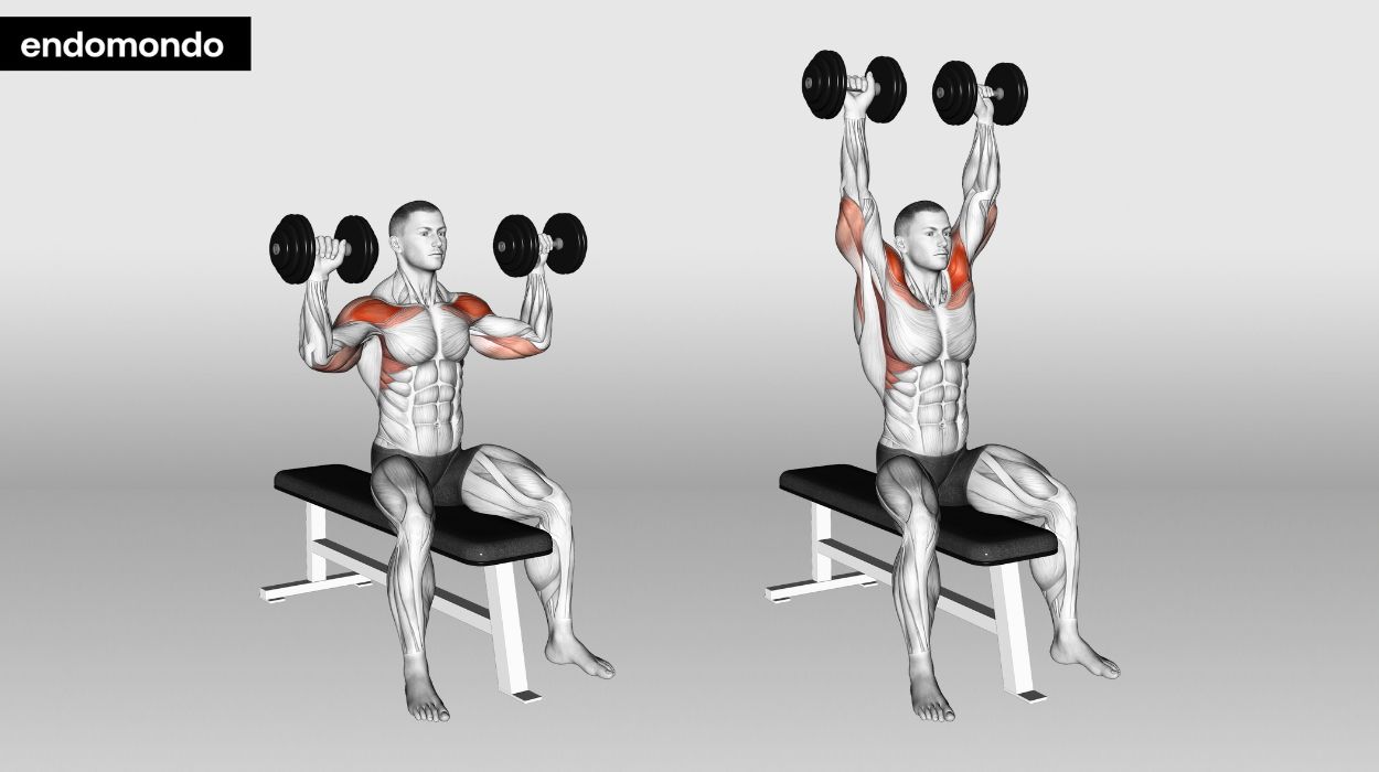 shoulder and tricep workout