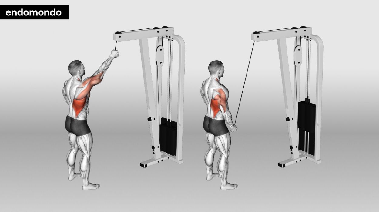 Single-Arm Cable Pulldown
