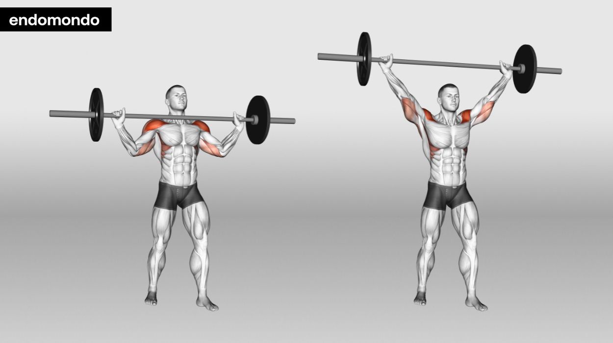 overhead press variations