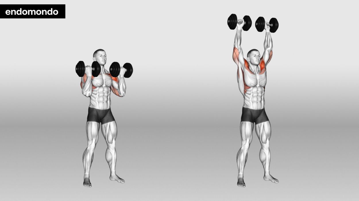 shoulder and tricep workout