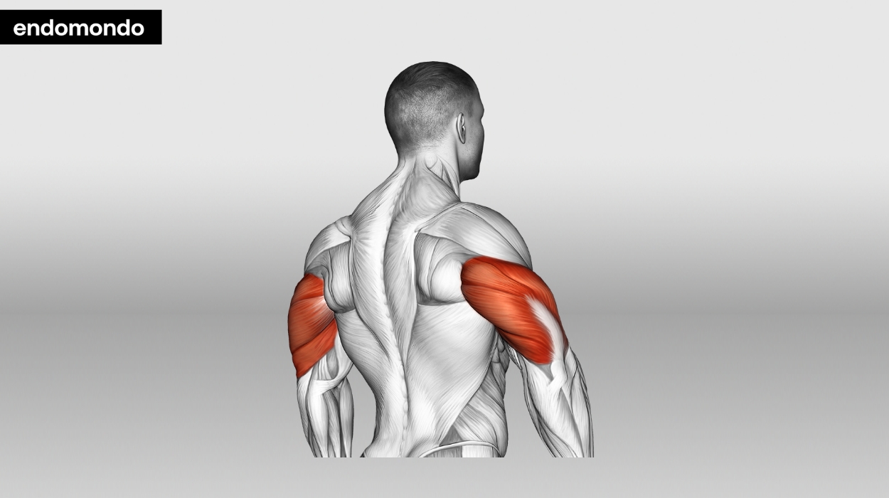 tricep stretches