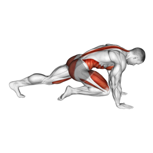 Shoulder taps muscles worked hotsell