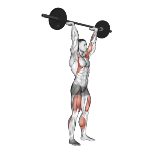 Army press workout best sale