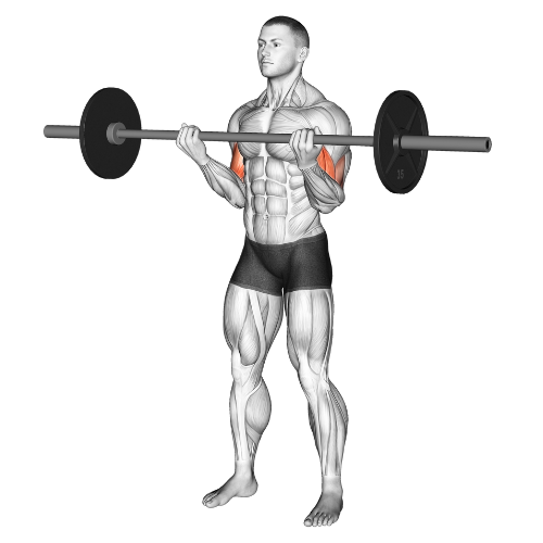 777 bicep curls new arrivals
