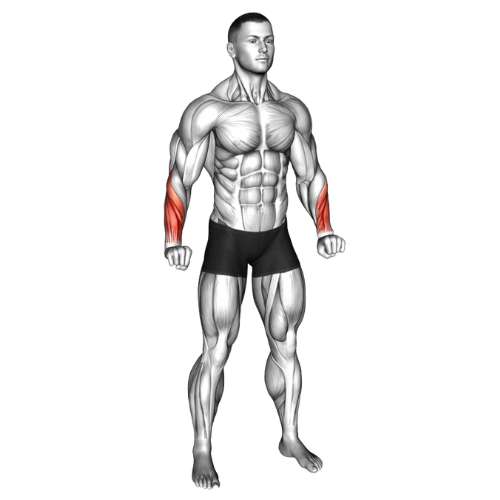 Reverse wrist hotsell